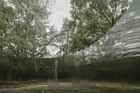 Secret Forest Tree Pavilion